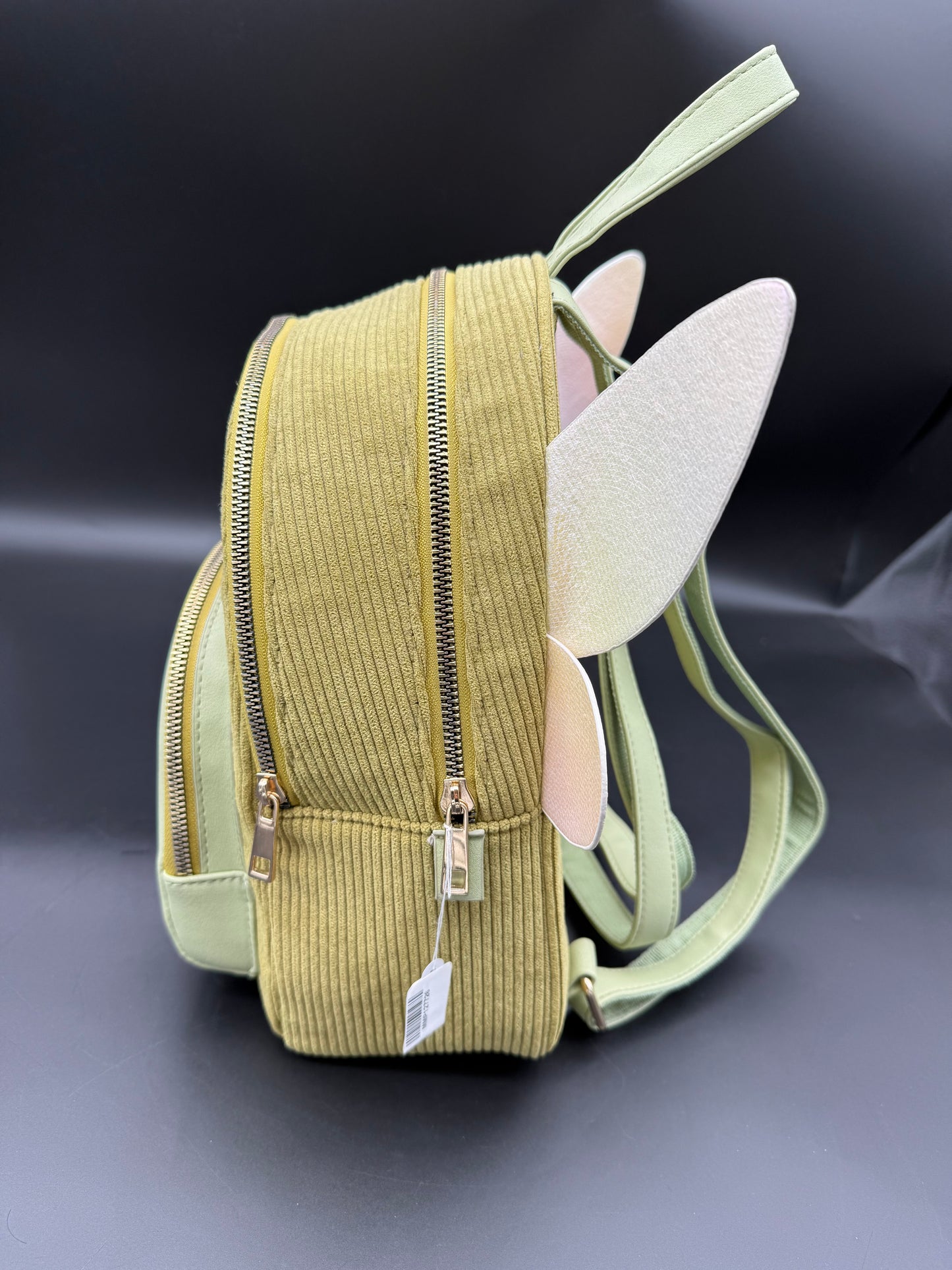 Bagpack