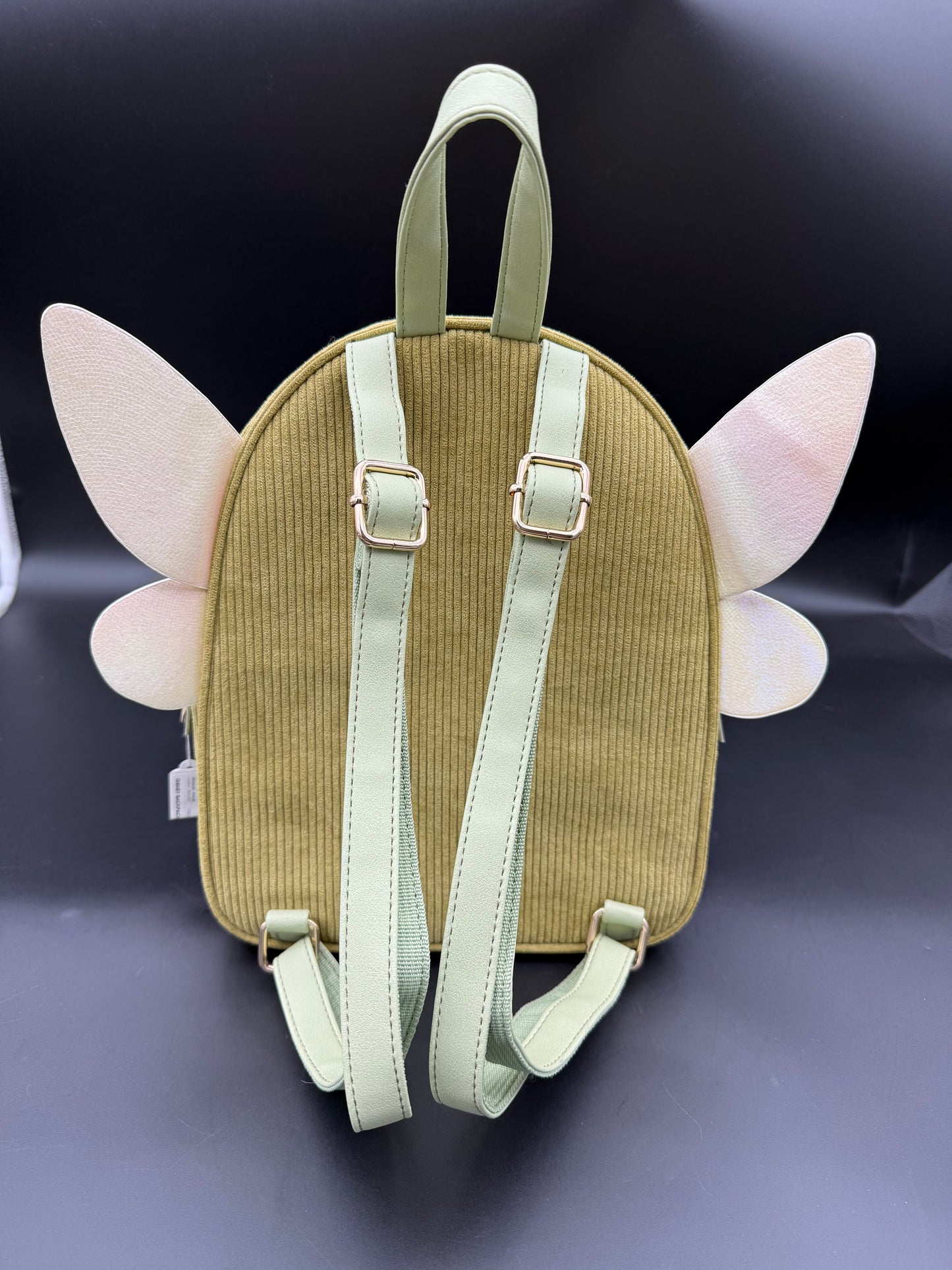 Bagpack