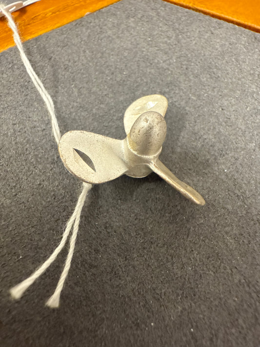 Silver charm