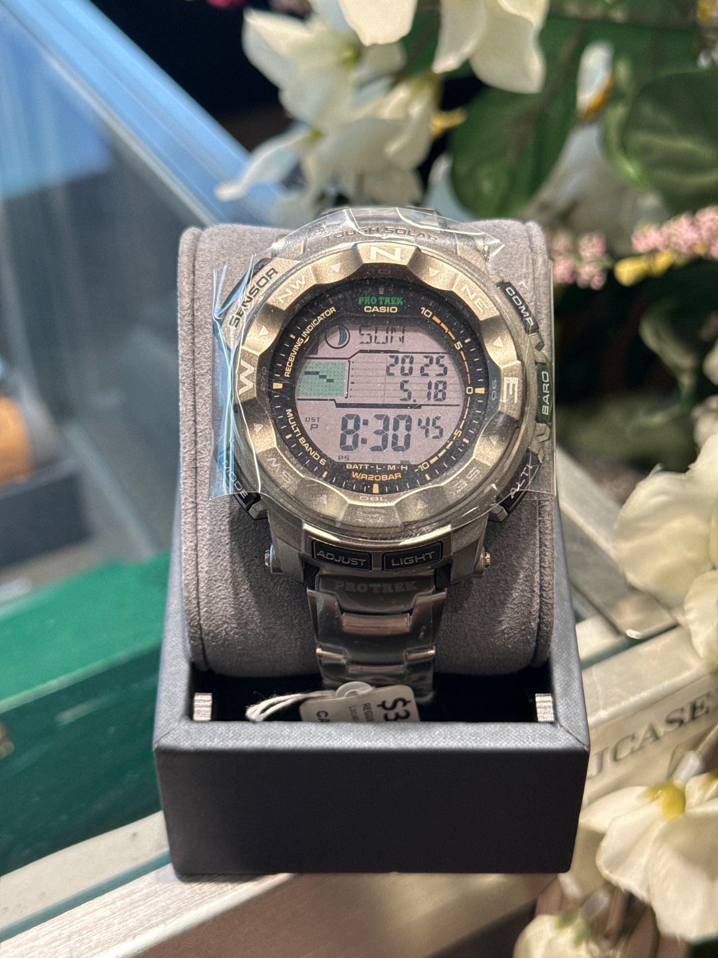 Casio watch