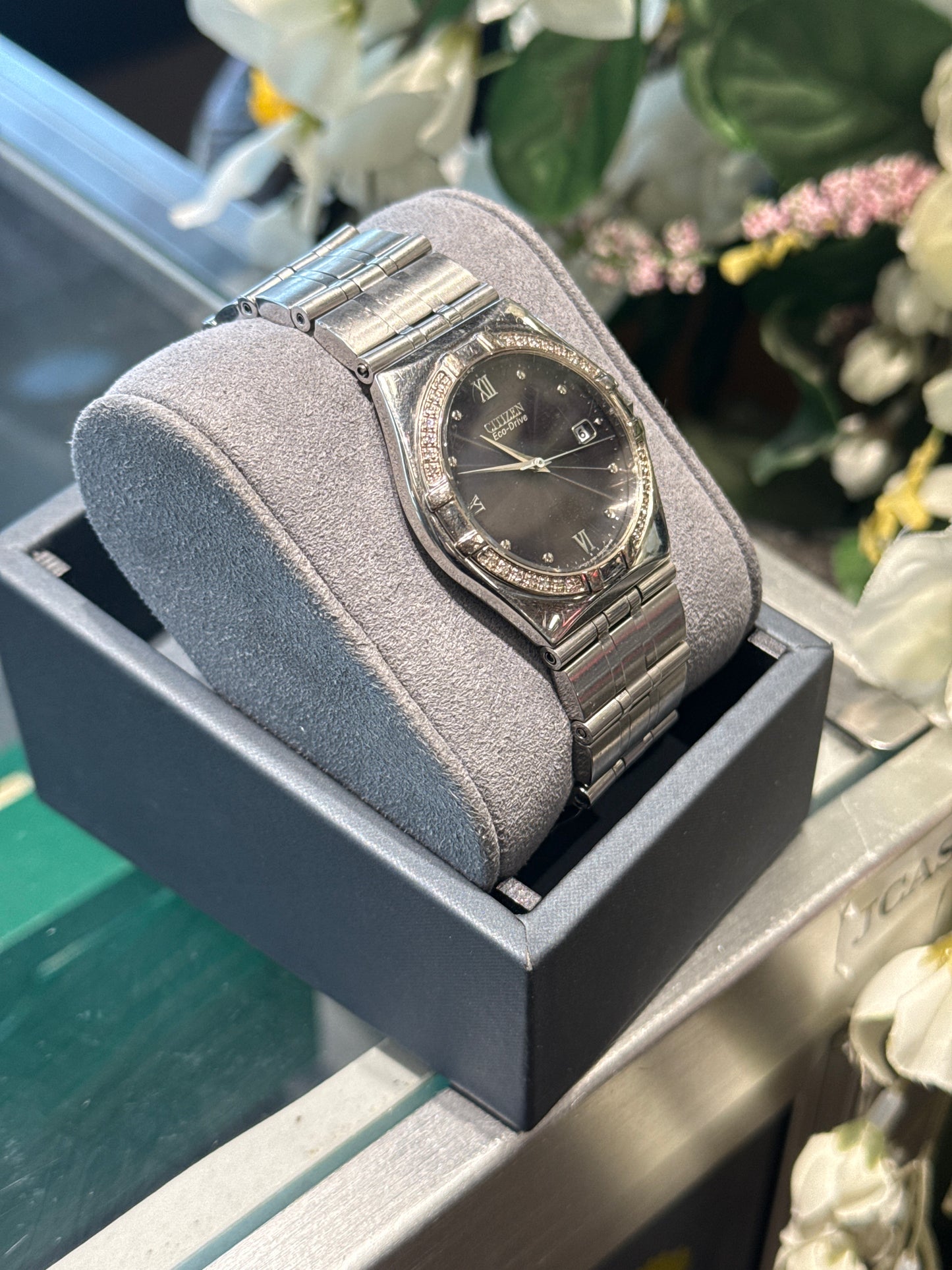 Citizen Watch